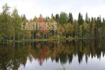 EA311867, Eastpress, Nilsiä, Finland